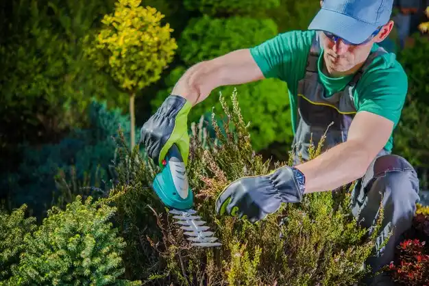 landscaping services Vivian